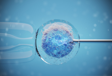 2021年第19届雄激素过多和多囊卵巢综合征协会年会（AE-PCOS)