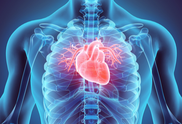 2015年第23届亚洲心血管与胸外科学会年会（ASCVTS)