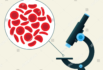 2021年欧洲血液学协会关于血液学教程（EHA-RHS-ROHS）
