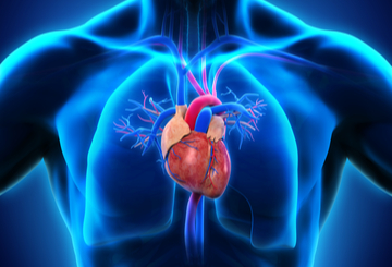 2023年国际心脏研究学会第37届欧洲分会年会(ISHR-ES)