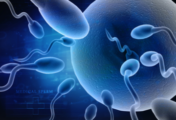 2024年第22届雄激素过多和多囊卵巢综合征协会年会（AE-PCOS)